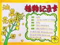 清明雨上·遇见春天——苏州叶圣陶实验小学“我们的节日”·“清明节”德育小课程研究活动