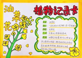 清明雨上·遇见春天——苏州叶圣陶实验小学“我们的节日”·“清明节”德育小课程研究活动