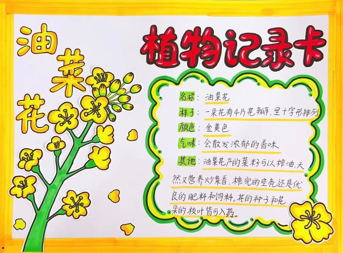 清明雨上·遇见春天——苏州叶圣陶实验小学“我们的节日”·“清明节”德育小课程研究活动